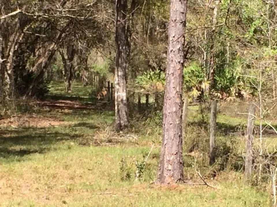 49 FENNY BOSK TRAIL Venus, FL 33960