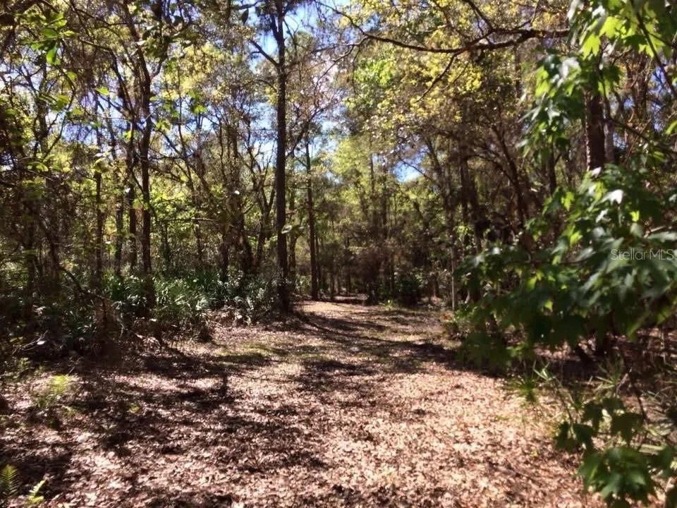 49 FENNY BOSK TRAIL Venus, FL 33960