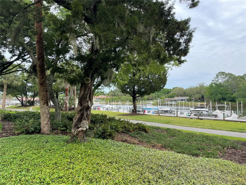 1000 CANOPY WALK LANE #1013 Palm Coast, FL 32137