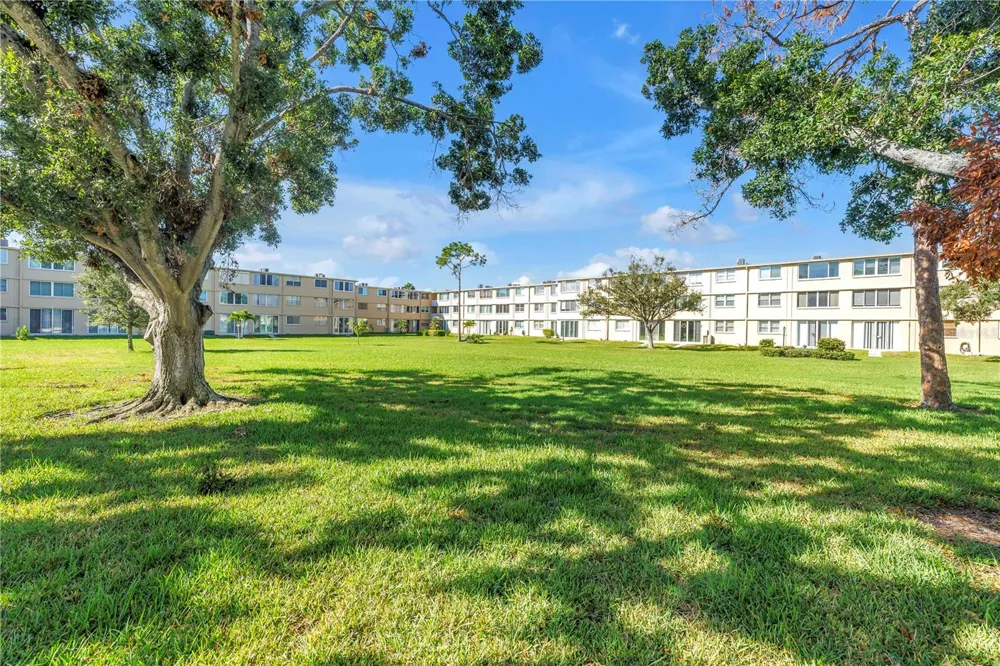 5095 BAY STREET NE #317 St Petersburg, FL 33703