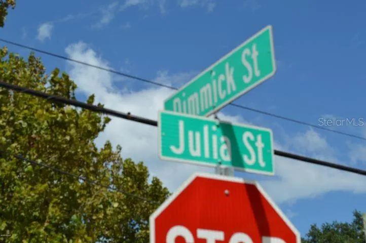 124 DIMMICK STREET New Smyrna Beach, FL 32168
