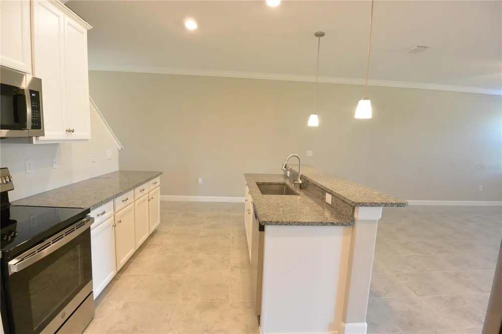 2277 CERULEAN SKY DRIVE Lutz, FL 33558