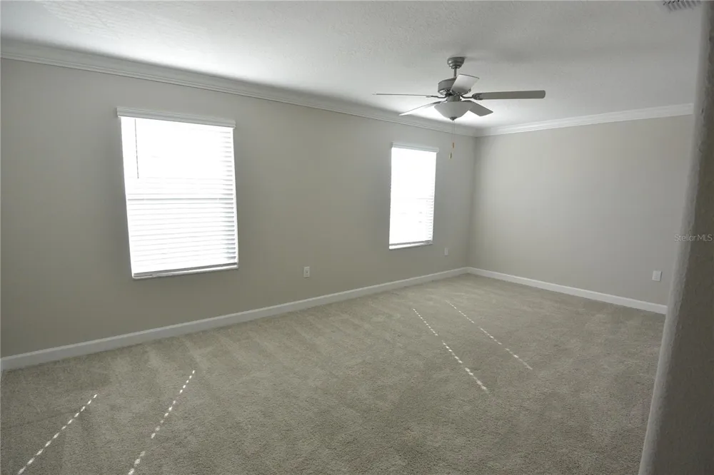 2277 CERULEAN SKY DRIVE Lutz, FL 33558
