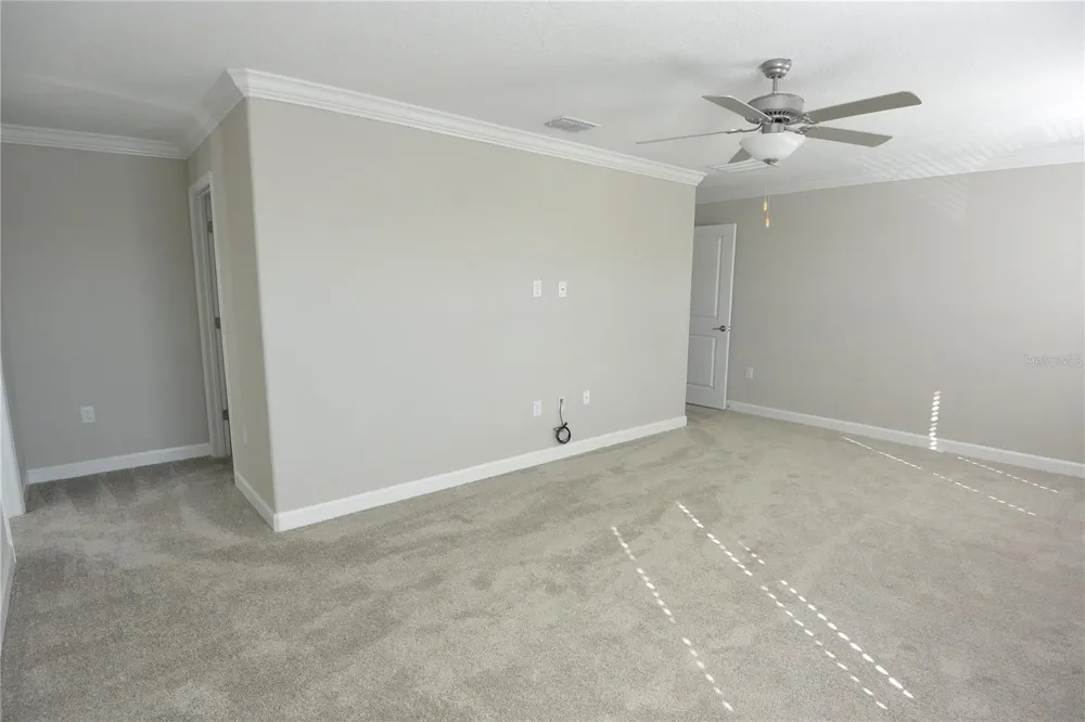 2277 CERULEAN SKY DRIVE Lutz, FL 33558