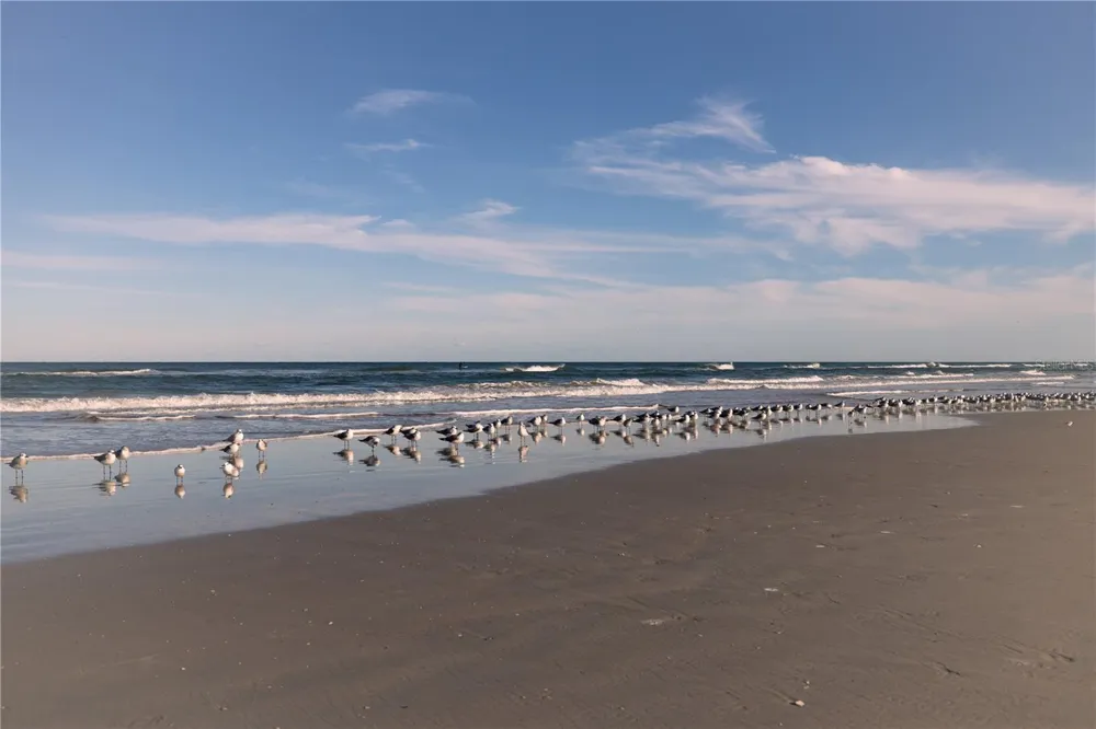 3801 S ATLANTIC AVENUE #UT204 New Smyrna Beach, FL 32169