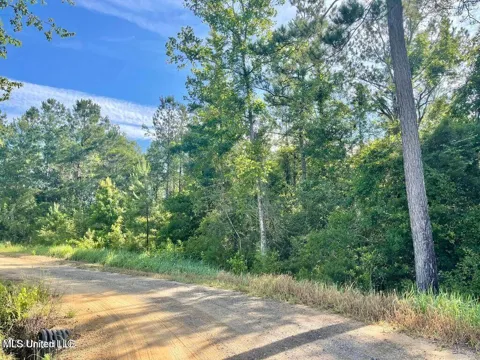 1.62 Acres Ferrell Lane