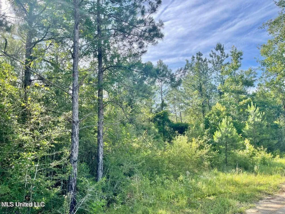 1.62 Acres Ferrell Lane Leakesville, MS 39451