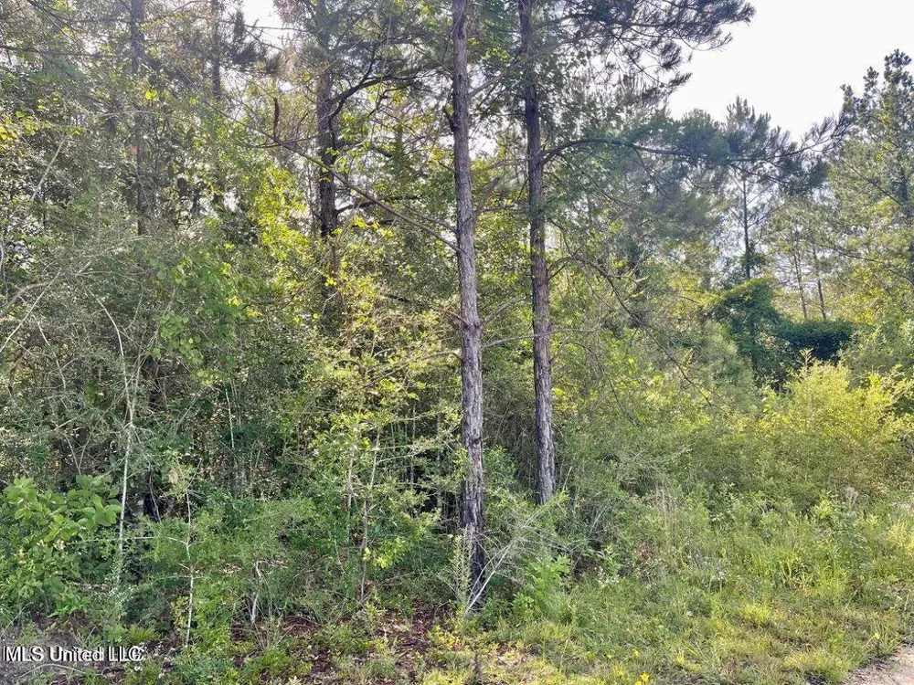 1.62 Acres Ferrell Lane Leakesville, MS 39451