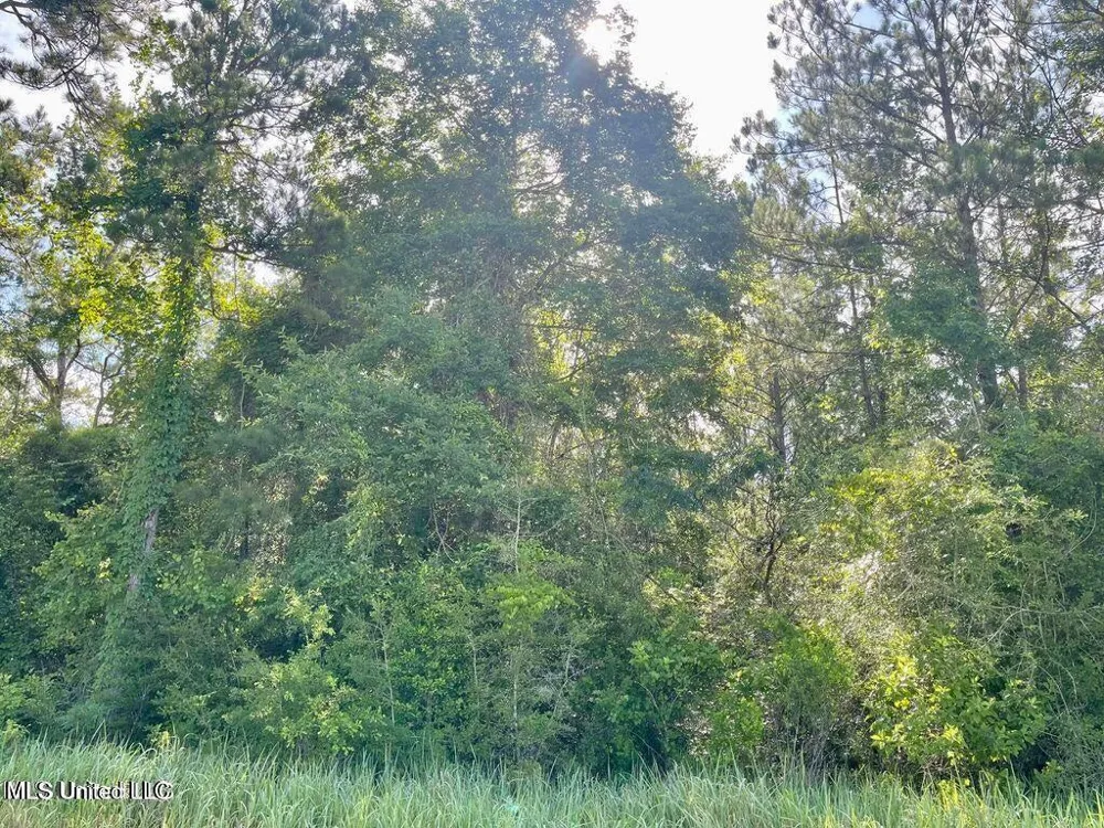 1.62 Acres Ferrell Lane Leakesville, MS 39451