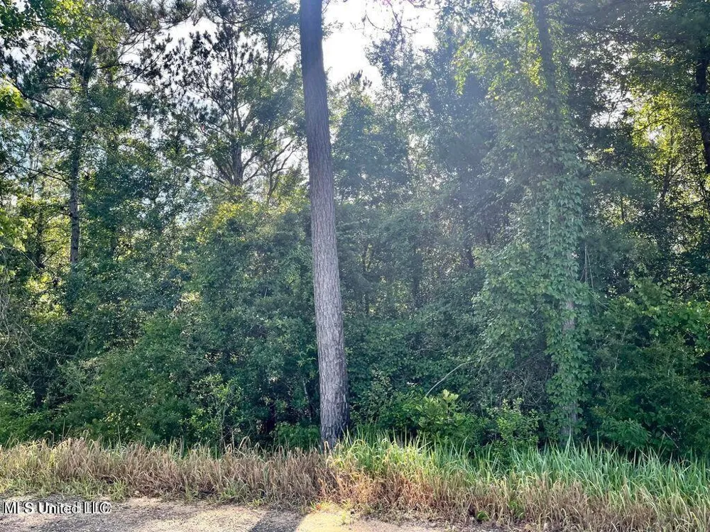 1.62 Acres Ferrell Lane Leakesville, MS 39451