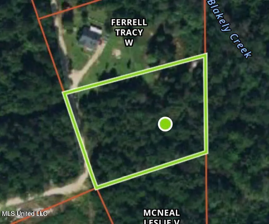 1.62 Acres Ferrell Lane Leakesville, MS 39451