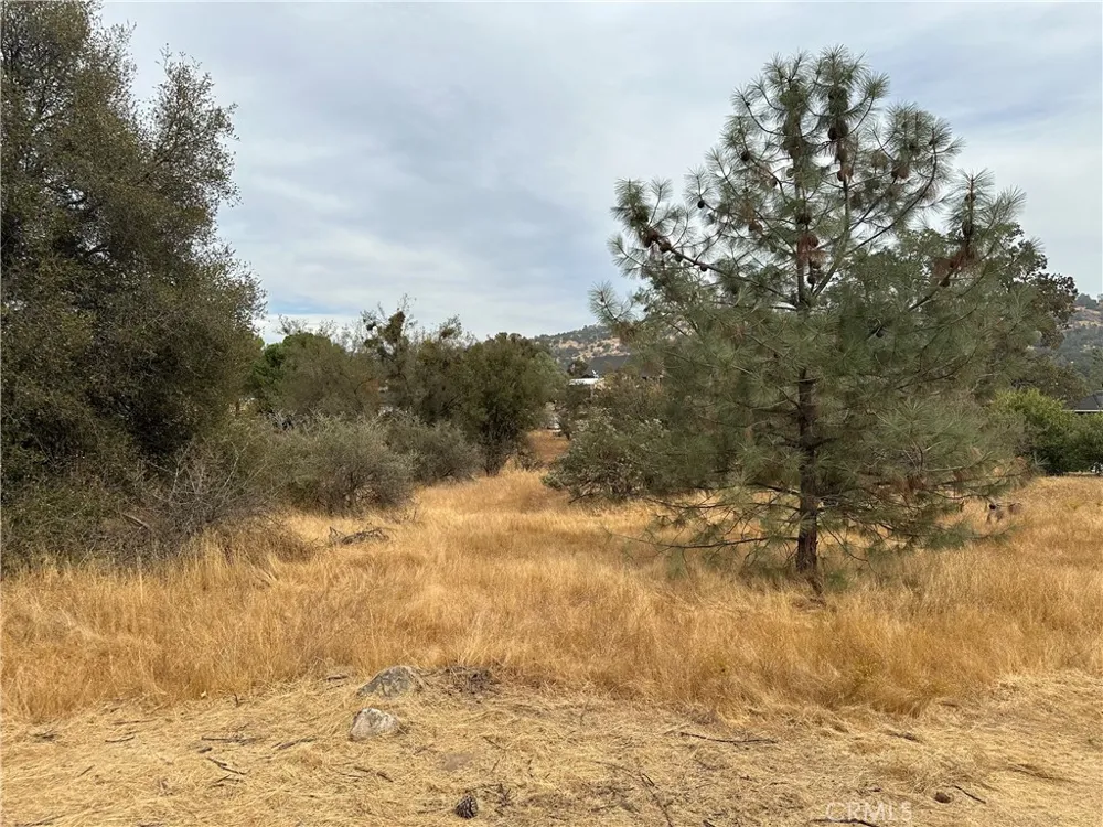 Jim Bowie Court Coarsegold, CA 93614
