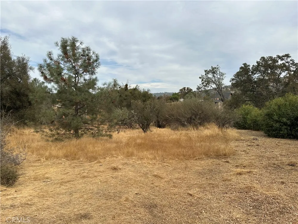 Jim Bowie Court Coarsegold, CA 93614