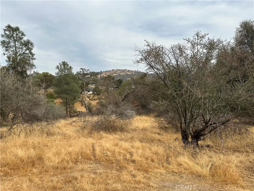 Jim Bowie Court Coarsegold, CA 93614