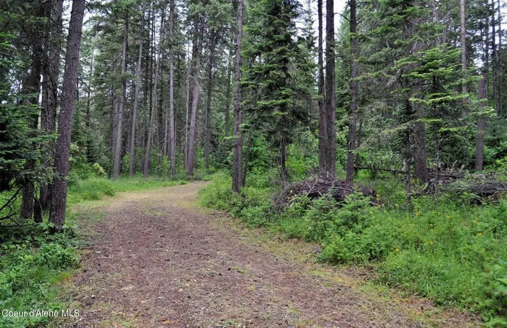 60317 Highway 200 Clark Fork, ID 83811