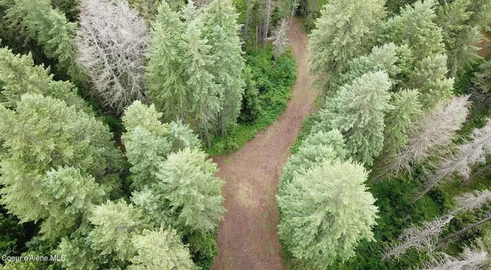 60317 Highway 200 Clark Fork, ID 83811