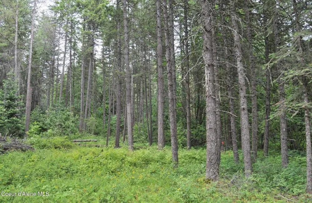 60317 Highway 200 Clark Fork, ID 83811
