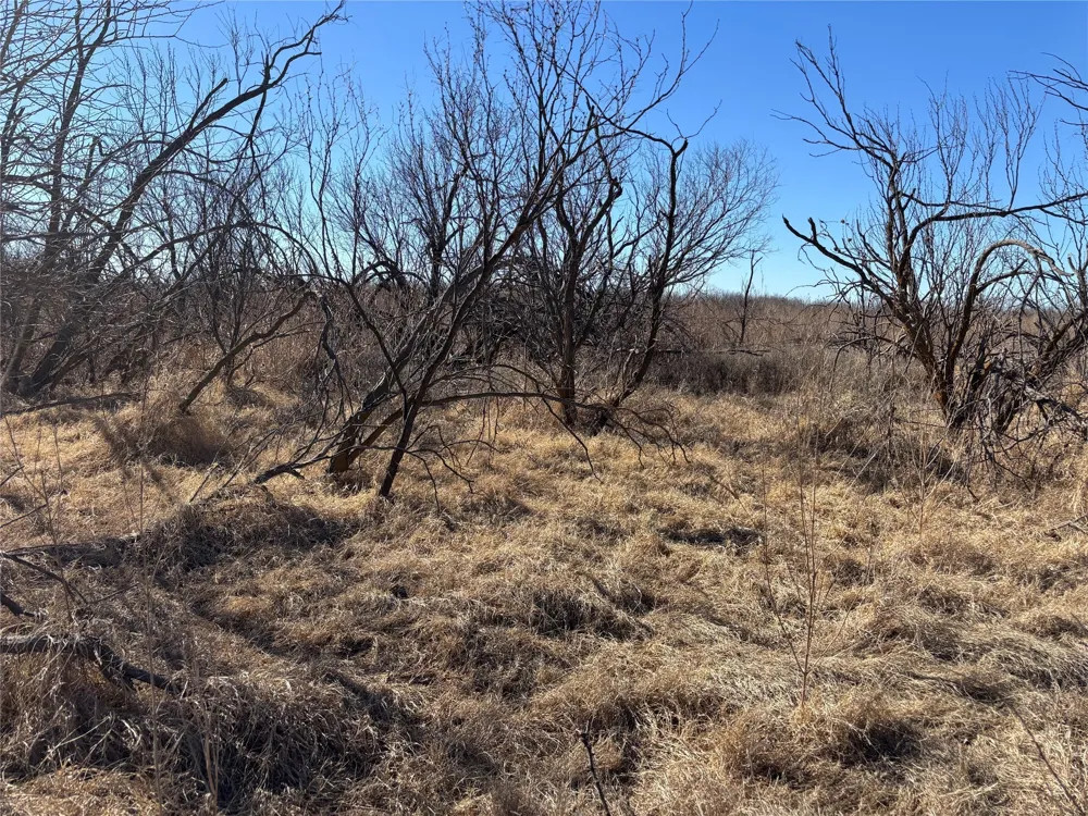 Hacker Iowa Park, TX 76367