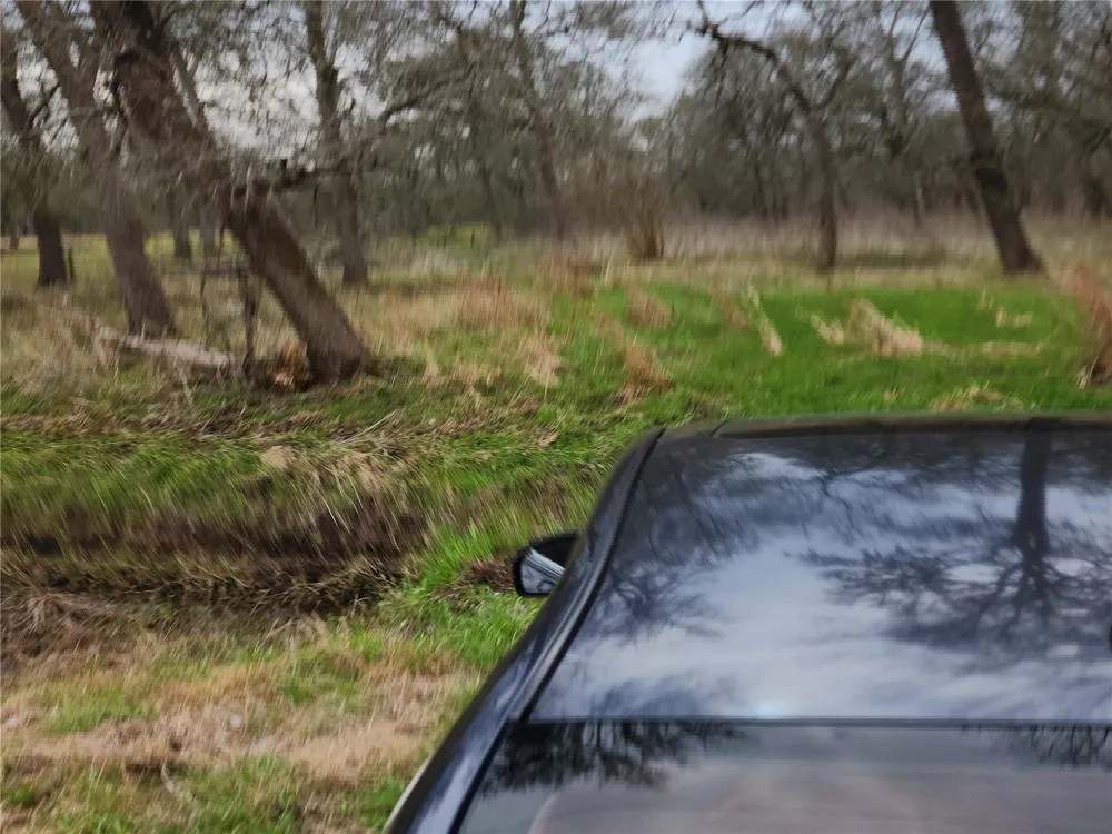 15530 Tierra Grande Drive Needville, TX 77461