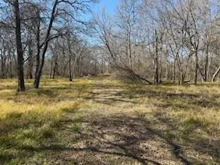 15530 Tierra Grande Drive Needville, TX 77461