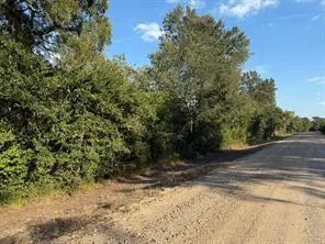 15530 Tierra Grande Drive Needville, TX 77461