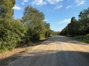 15530 Tierra Grande Drive Needville, TX 77461