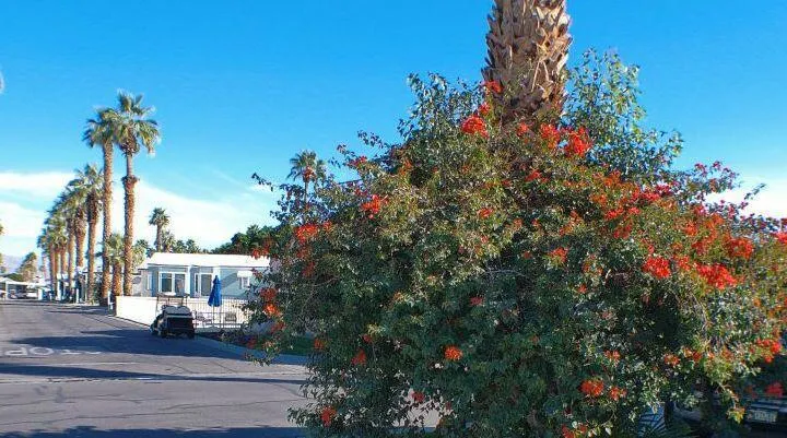 84136 Ave 44, #422 #422 Indio, CA 92203