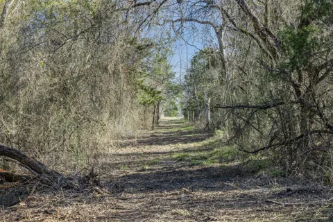 3 County Road 386