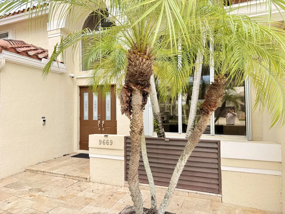 9669 Carousel Circle