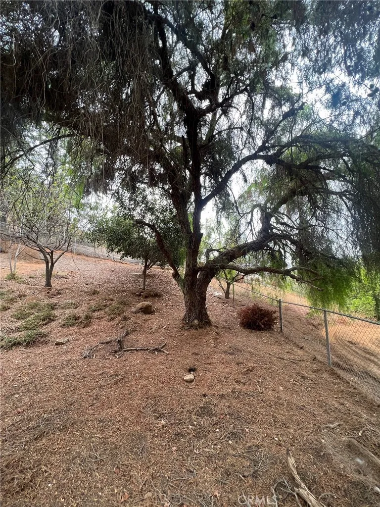 2846 Willow Glen Drive El Cajon, CA 92019