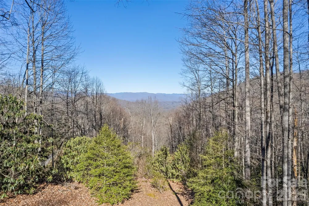 831 Forest Run Road Whittier, NC 28789