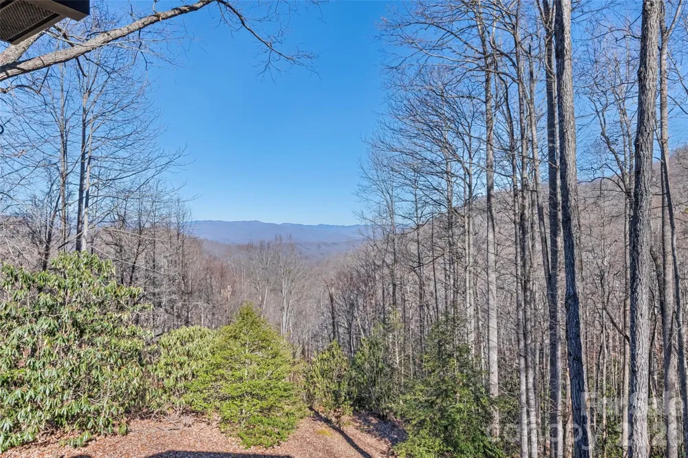 831 Forest Run Road Whittier, NC 28789