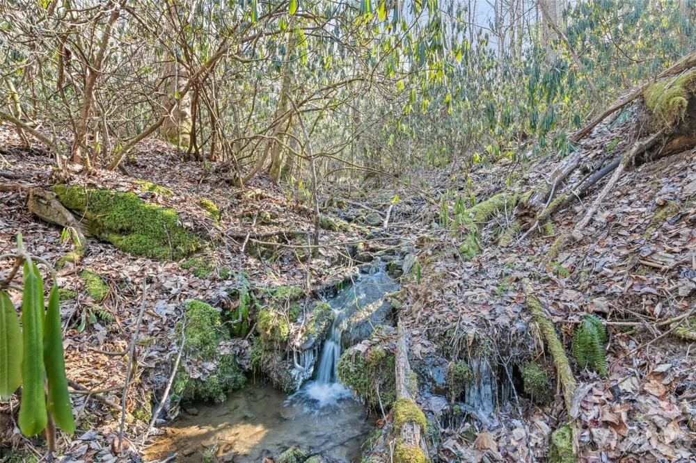 831 Forest Run Road Whittier, NC 28789