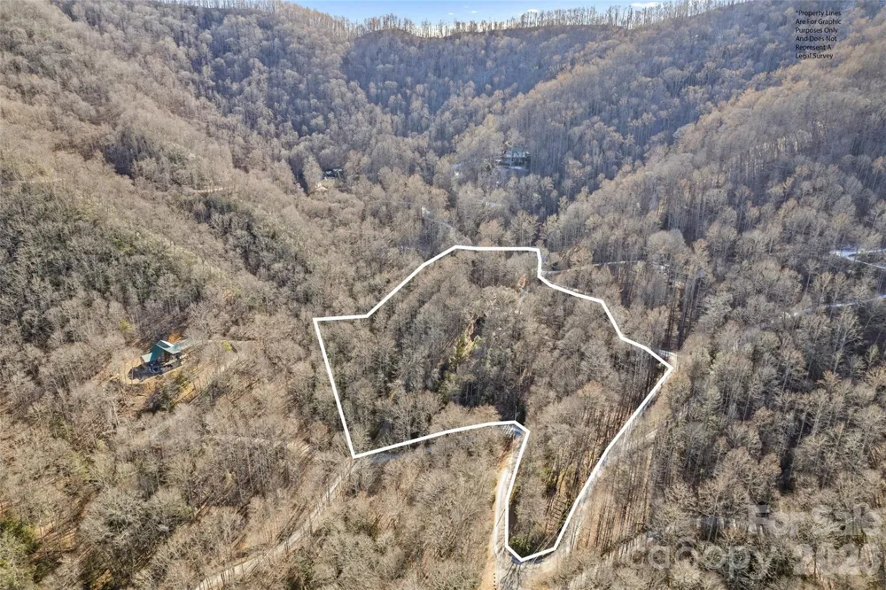 831 Forest Run Road Whittier, NC 28789