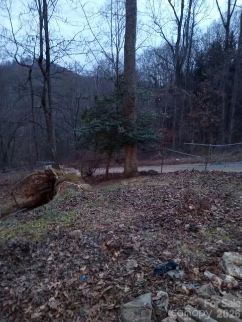 67 Earwood Ridge Road Fairview, NC 28730