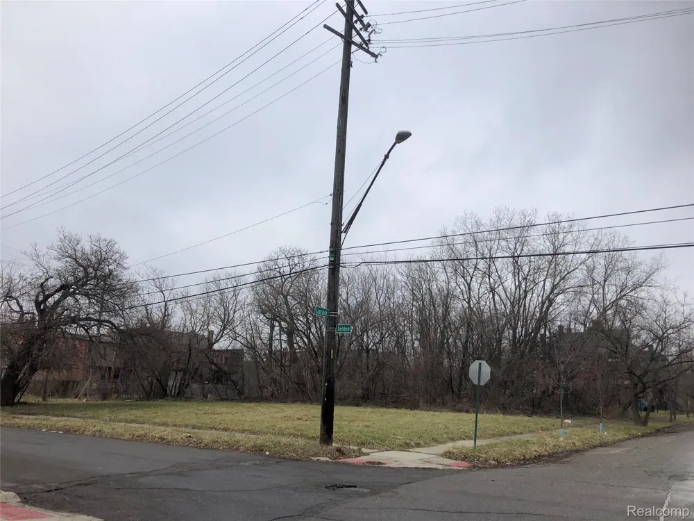3907 LINCOLN Detroit City, MI 48208