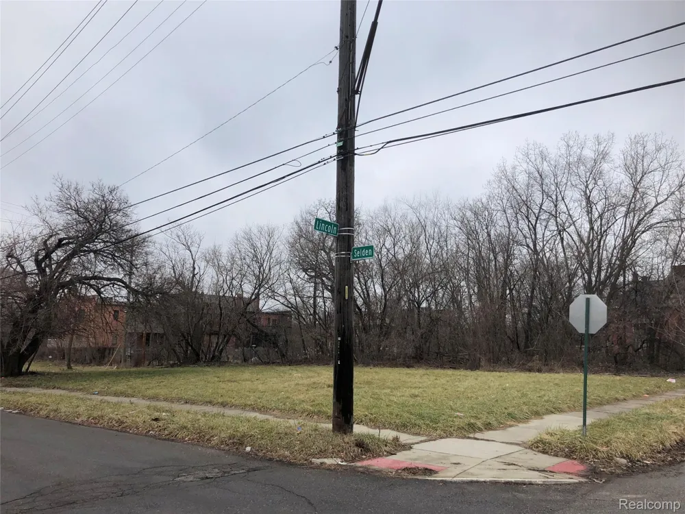 3907 LINCOLN Detroit City, MI 48208