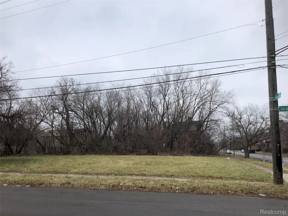 3907 LINCOLN Detroit City, MI 48208