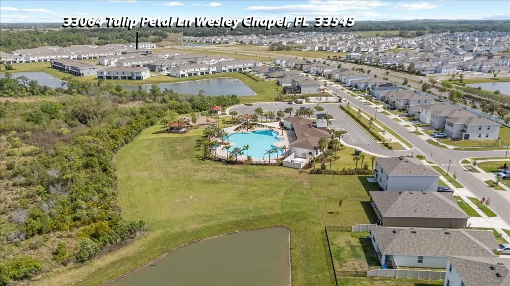 33064 TULIP PETAL LANE Wesley Chapel, FL 33545