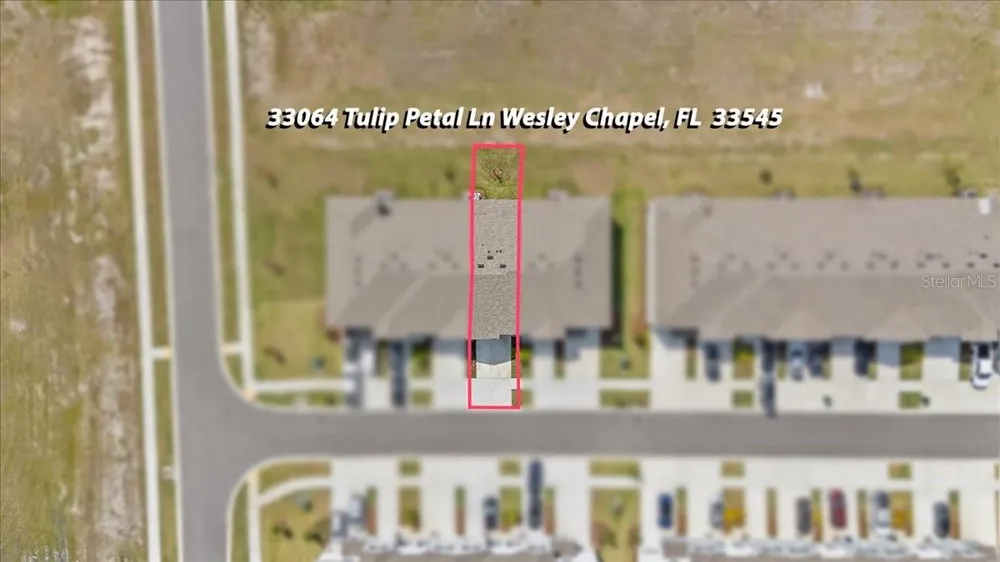 33064 TULIP PETAL LANE Wesley Chapel, FL 33545