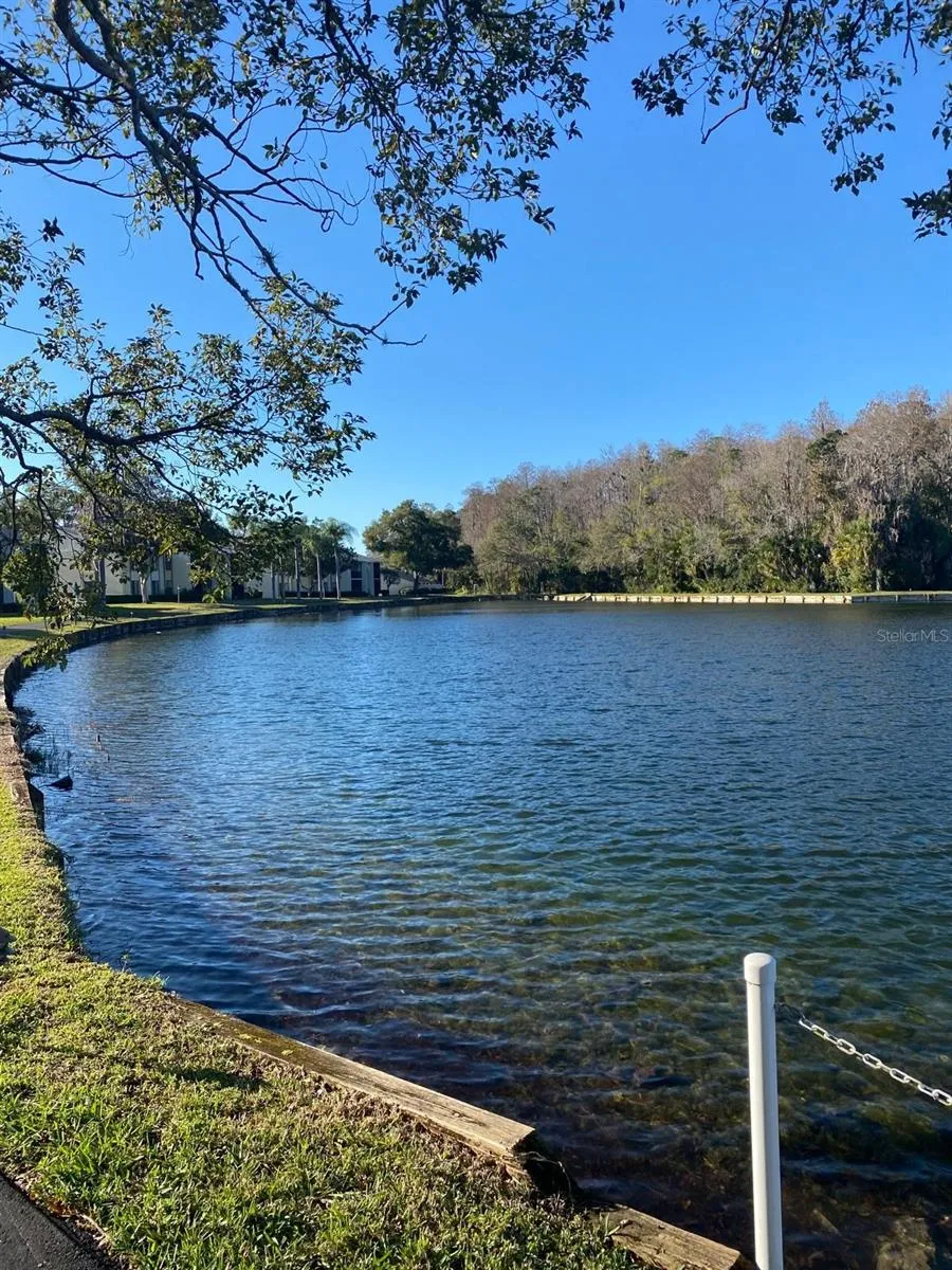 1333 SHADY PINE WAY #D Tarpon Springs, FL 34688