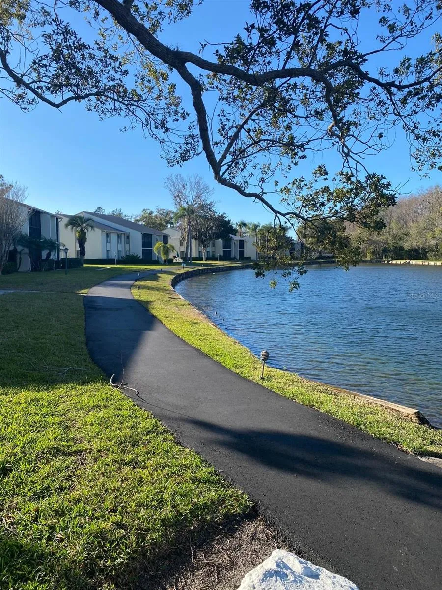 1333 SHADY PINE WAY #D Tarpon Springs, FL 34688