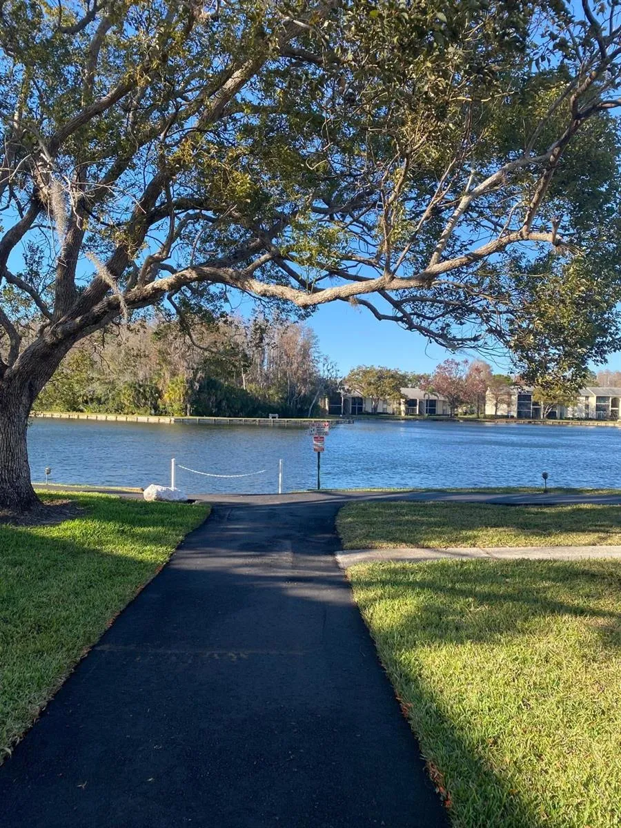 1333 SHADY PINE WAY #D Tarpon Springs, FL 34688