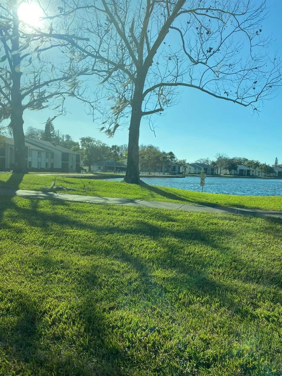 1333 SHADY PINE WAY #D Tarpon Springs, FL 34688