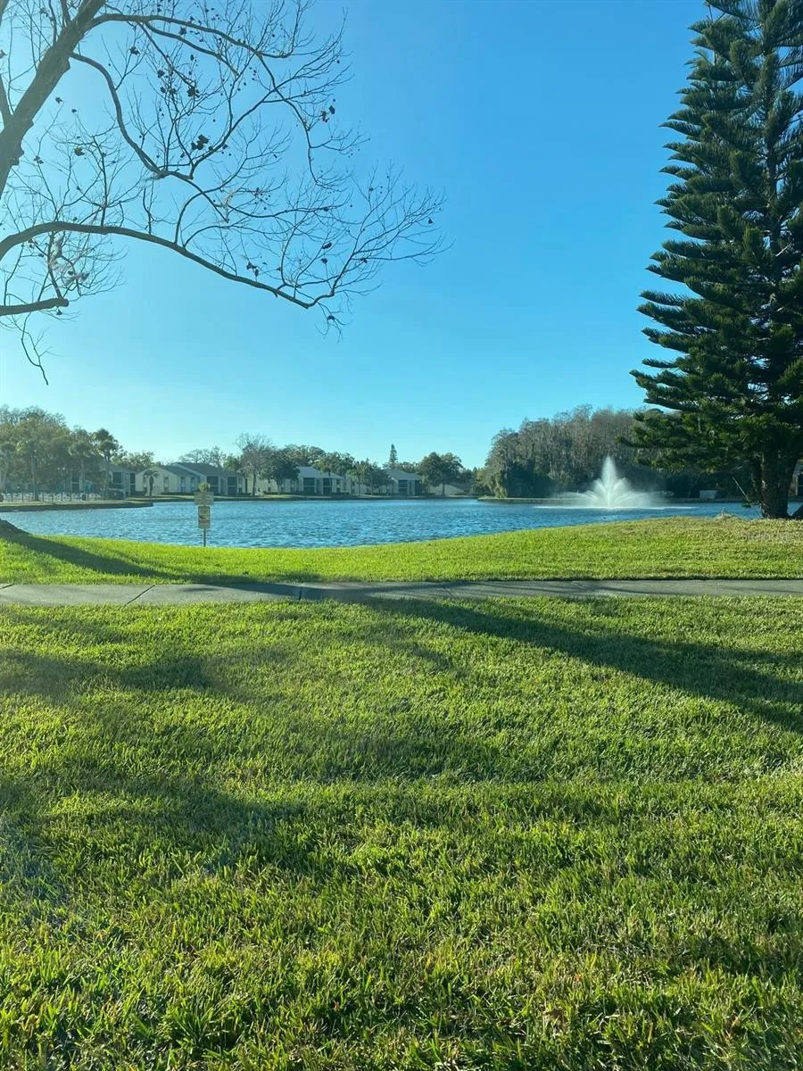 1333 SHADY PINE WAY #D Tarpon Springs, FL 34688