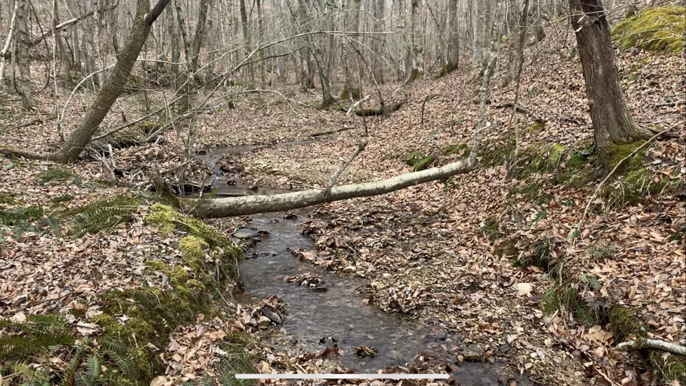 0 West Mackey Rd Iron City, TN 38463