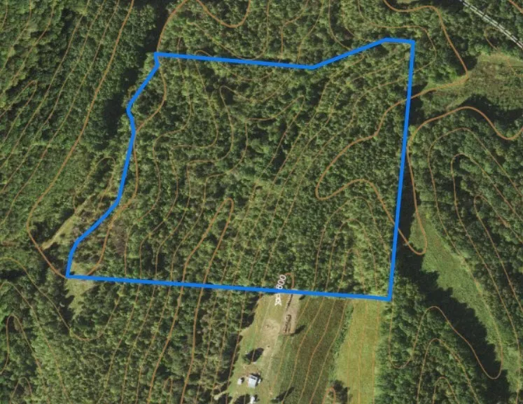 0 West Mackey Rd Iron City, TN 38463