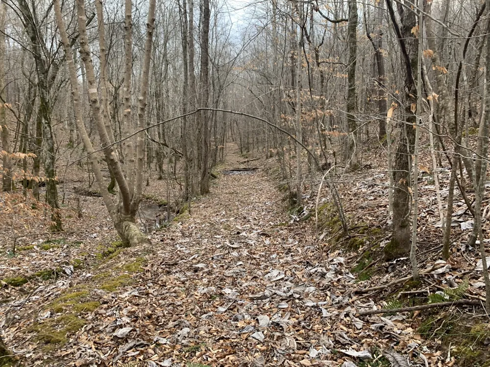 0 West Mackey Rd Iron City, TN 38463