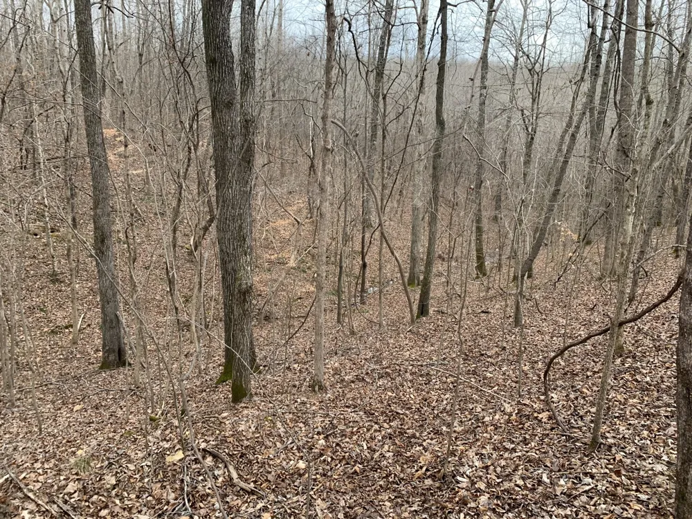 0 West Mackey Rd Iron City, TN 38463