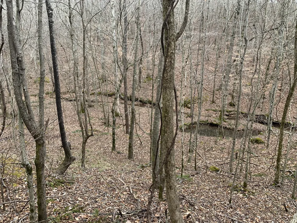 0 West Mackey Rd Iron City, TN 38463